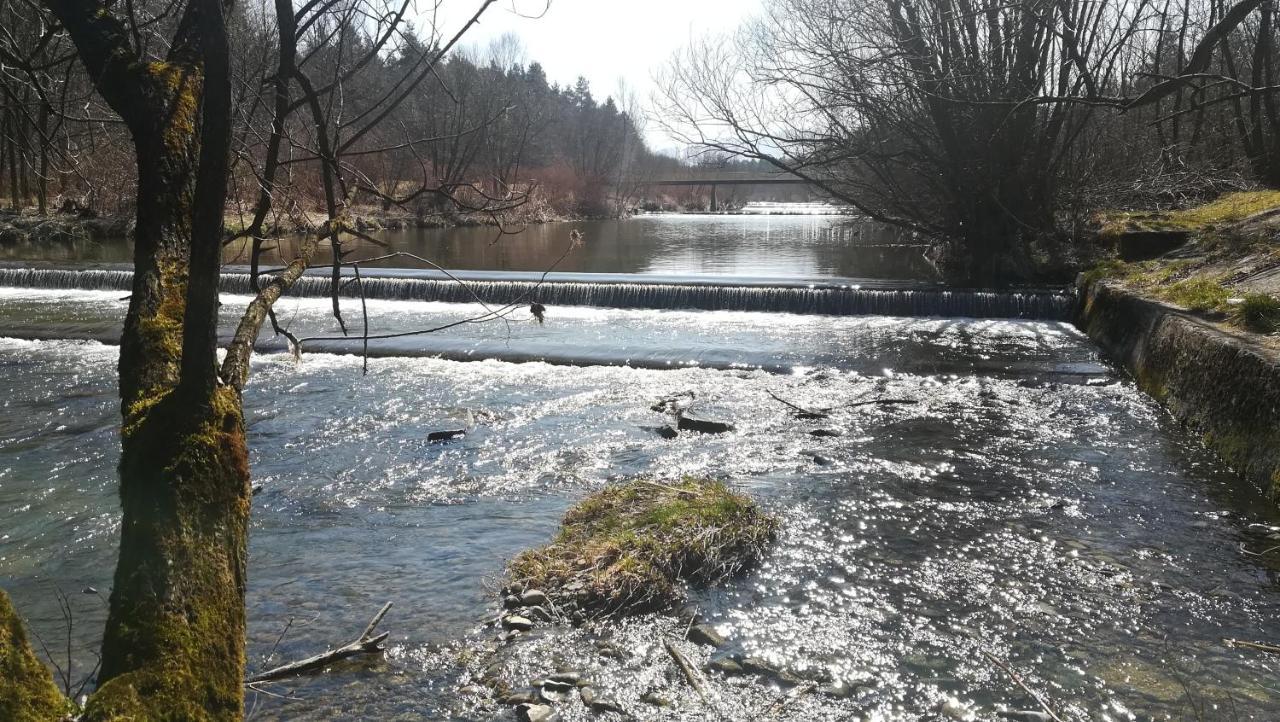Agroturystyka Kameralna93 Ochaby Bagian luar foto